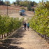 Apple picking in Julian, California, another great getaway closer to San Diego.