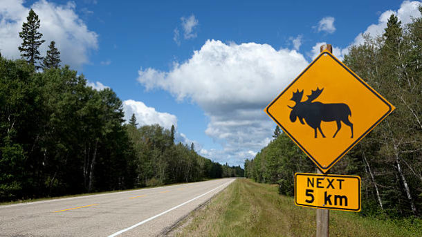 5 day road trip alaska