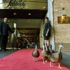 Peabody Hotel Ducks and Must-See Stops: One Day in Memphis