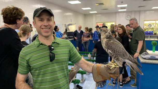 A Falcon Experience: Touring Abu Dhabi's Falcon Hospital