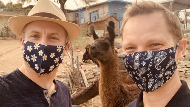 Love Animals? Don't Miss This Hidden Llama Farm in Joshua Tree