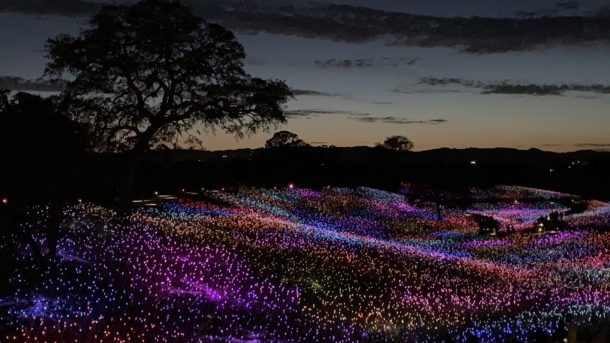 Sensorio Field of Lights in Paso Robles Wine Country