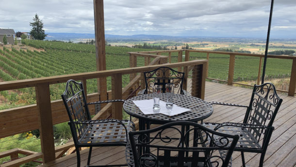 Top 3 Willamette Valley Wineries: Best Baguettes, Bookstores and Stops in Oregon Wine Country
